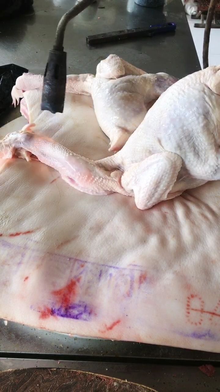 快速给鸡去毛的好办法