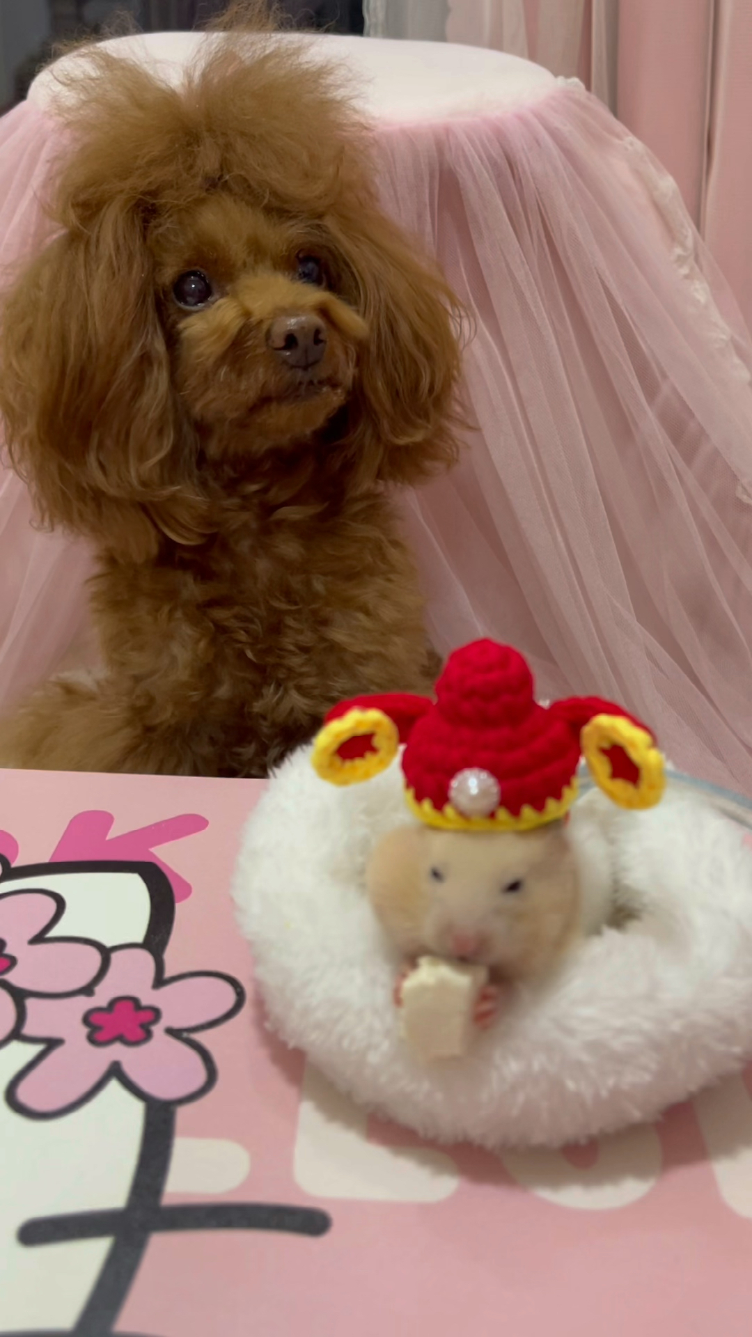 小小爱宠萌化你#开心这个小姐姐多乖啊～狗剩子吃她的零食也不争不抢