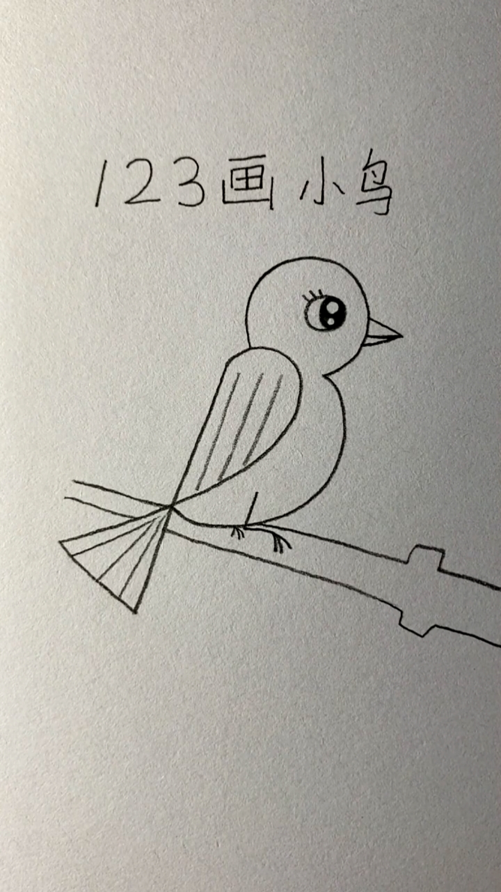 画画原来如此简单123画小鸟