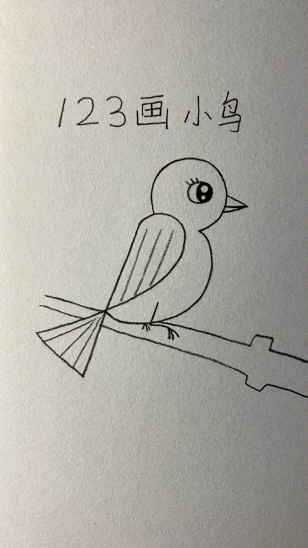 画画原来如此简单123画小鸟