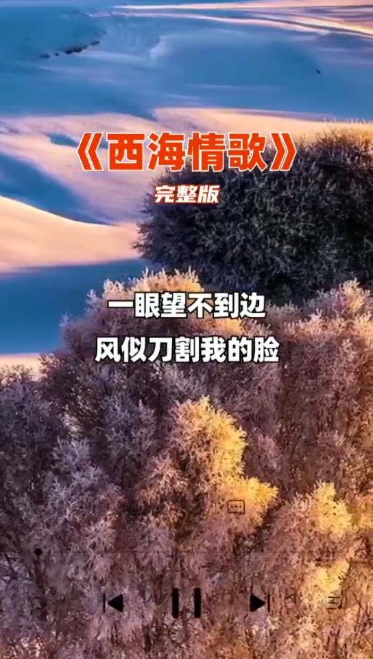 听着听着就哭了…每一首歌的背后,必定有一个故事#西海情歌#完整版