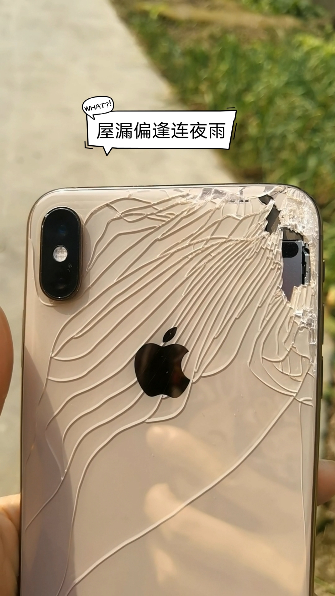 你的手机屏碎了吗#别人说,这叫碎碎平安.