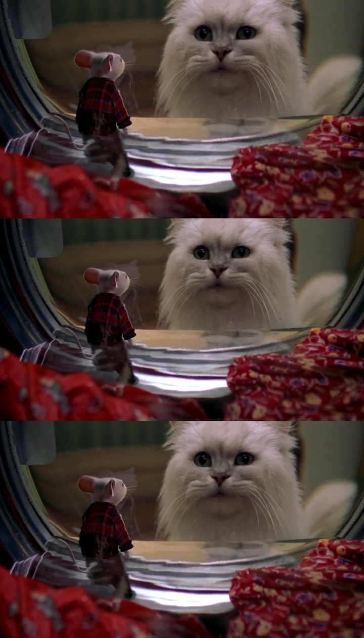 精灵鼠小弟#小老鼠误入洗衣机里,猫咪看了见死不救,真是太无奈了!