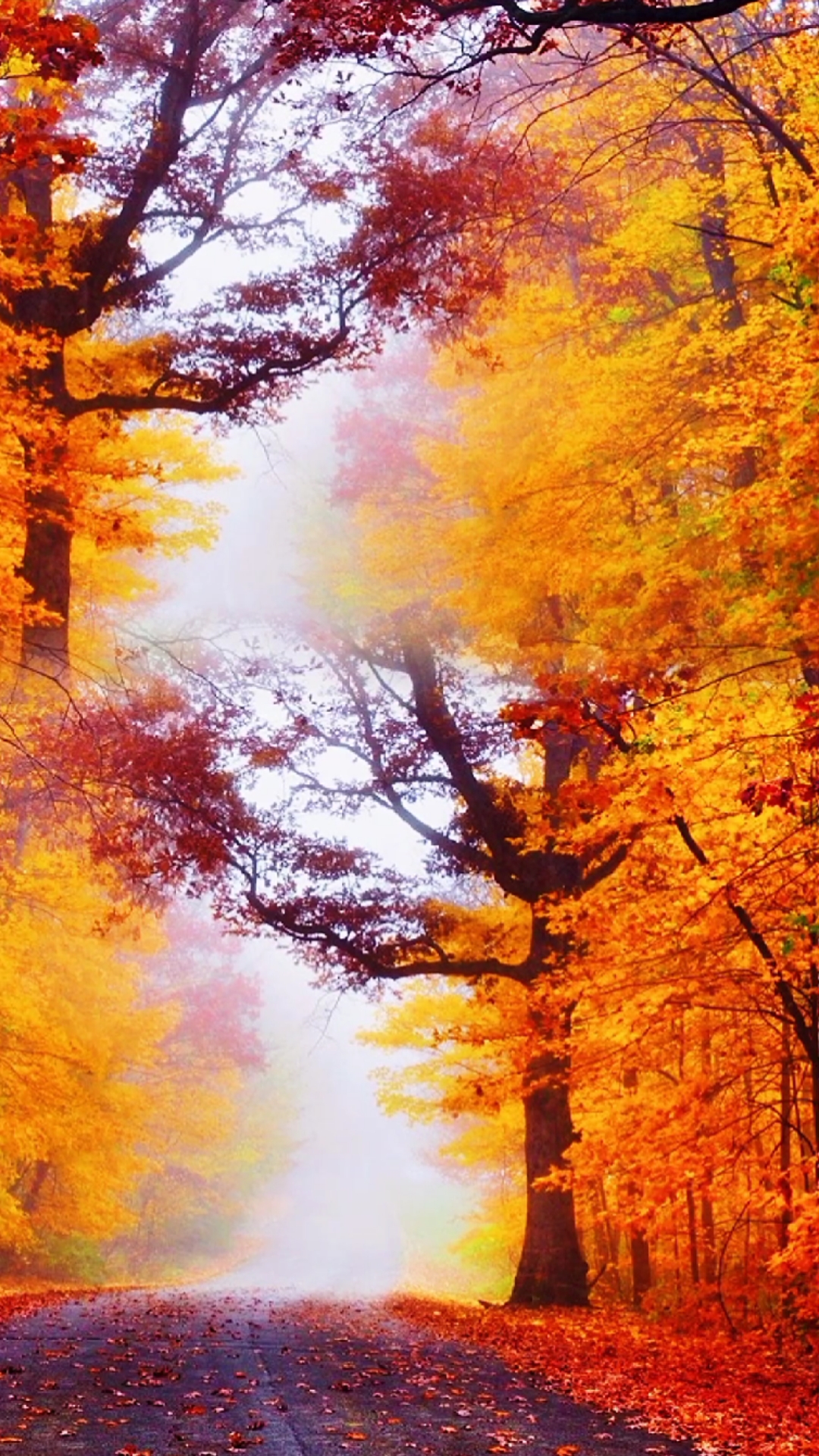 最美的风景#听雨是一种宣泄,看雨是一种解压,是这柔情季节惹了这钟觋