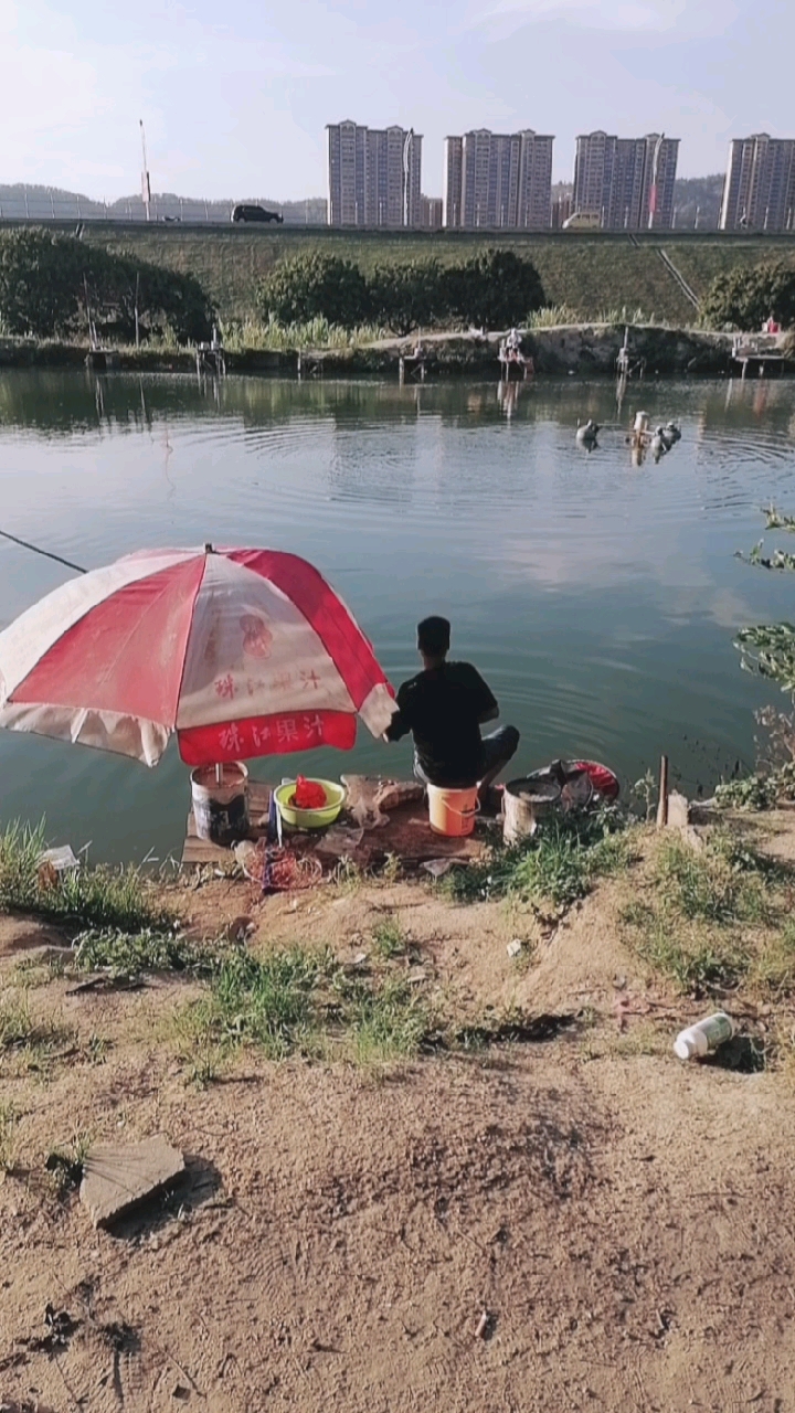 钓鱼人想要的感觉#哈哈,兄弟们!