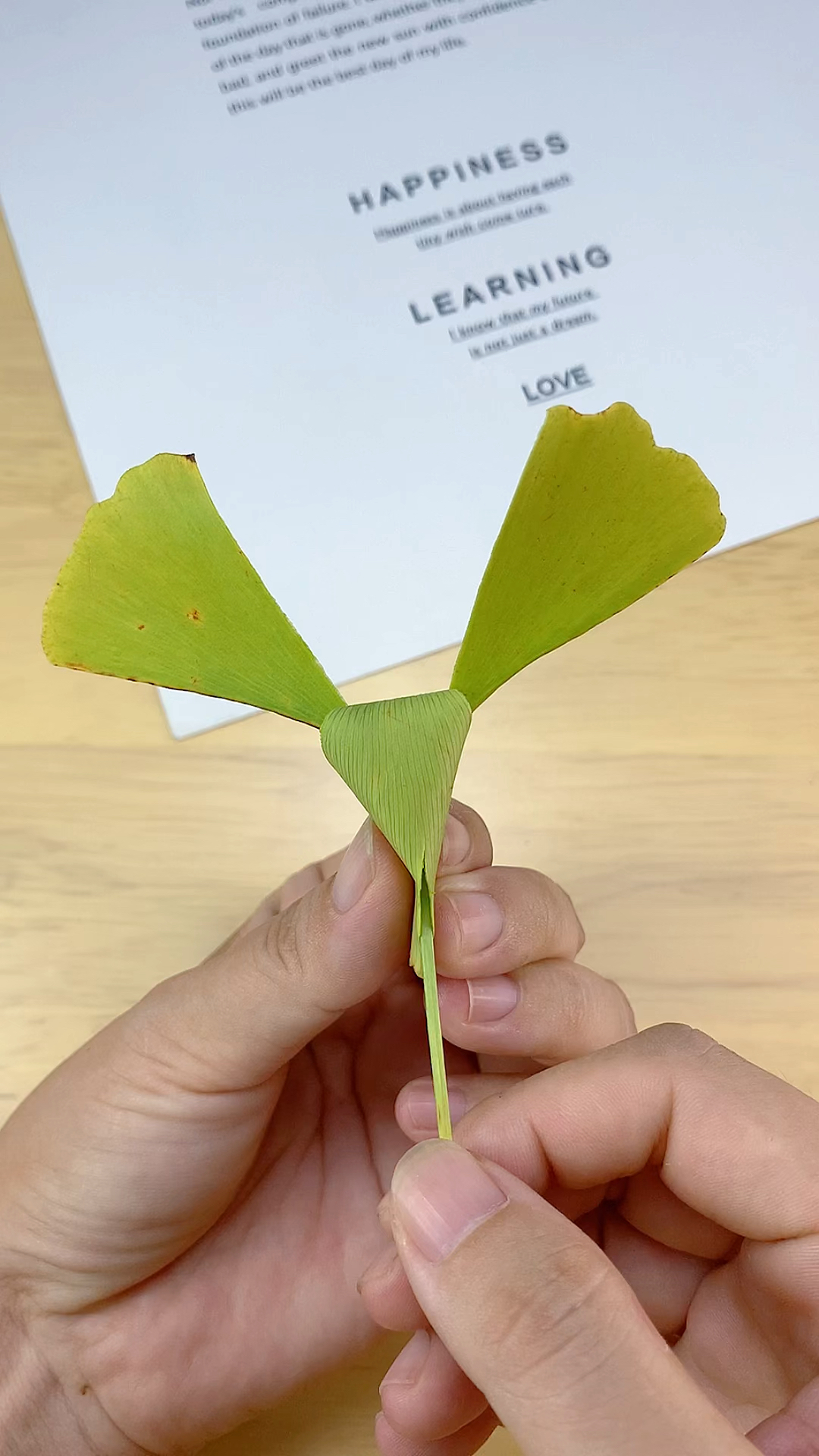 创意手工diy#一片银杏叶的快乐,银杏叶小飞象