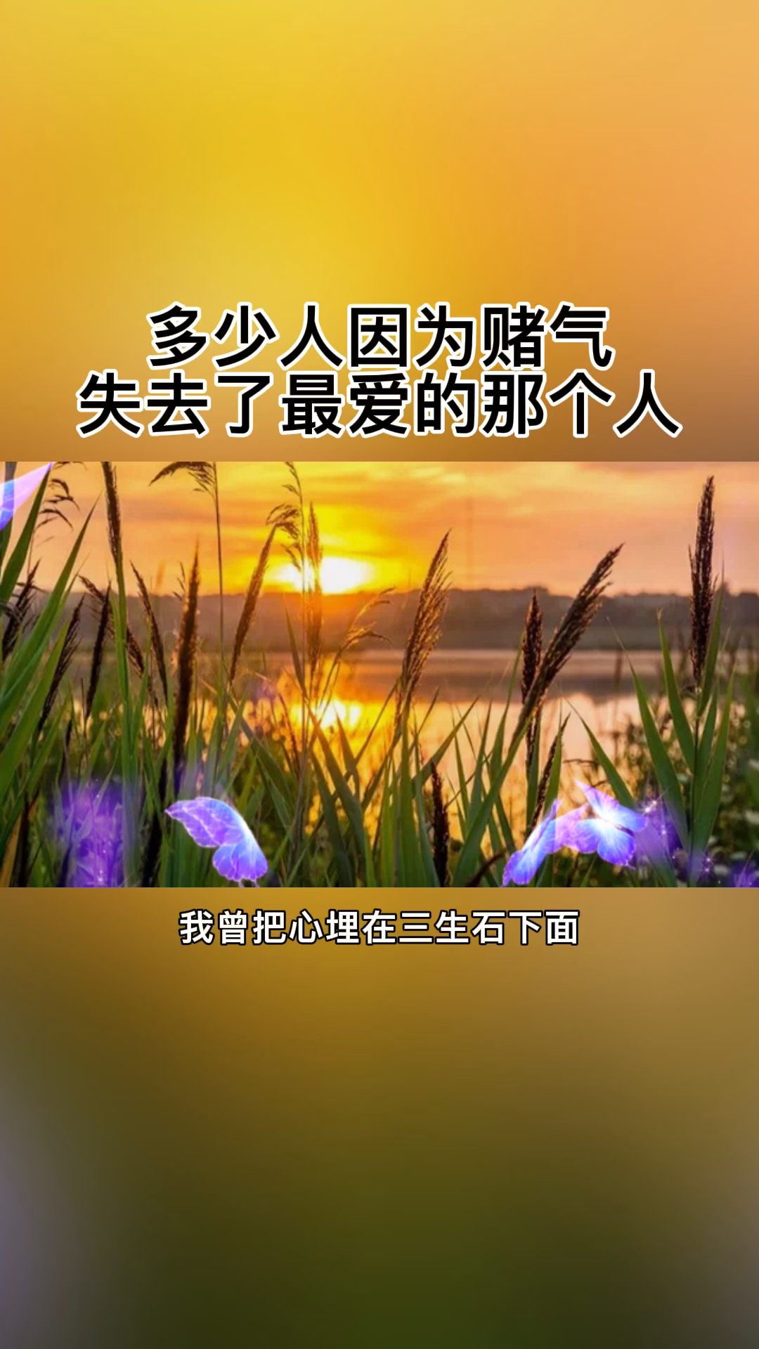 扎心情感语录任何百毒不侵的人都曾无药可救过