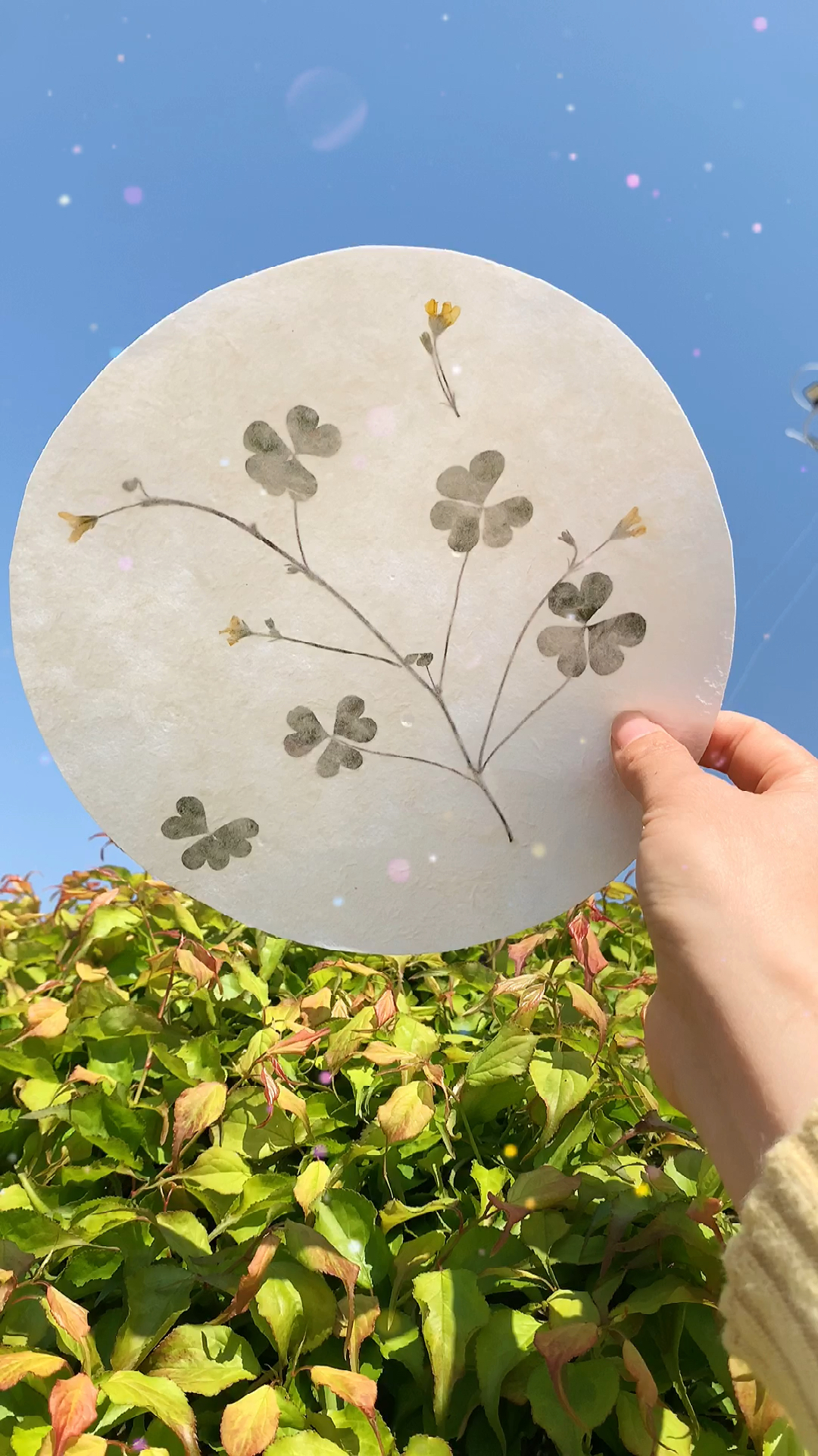 植物花草纸超级好看!-全民小视频