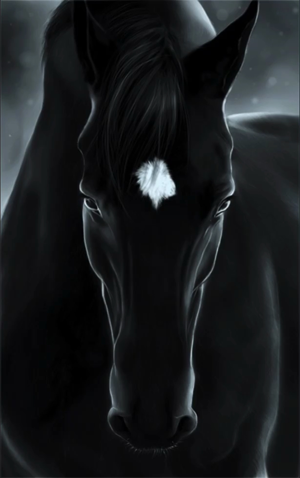 自由奔跑的黑马