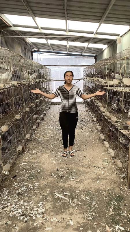 45万粉丝  关注捅马蜂窝在日常生活里意思是什么92黄澄澄的拼音怎么读