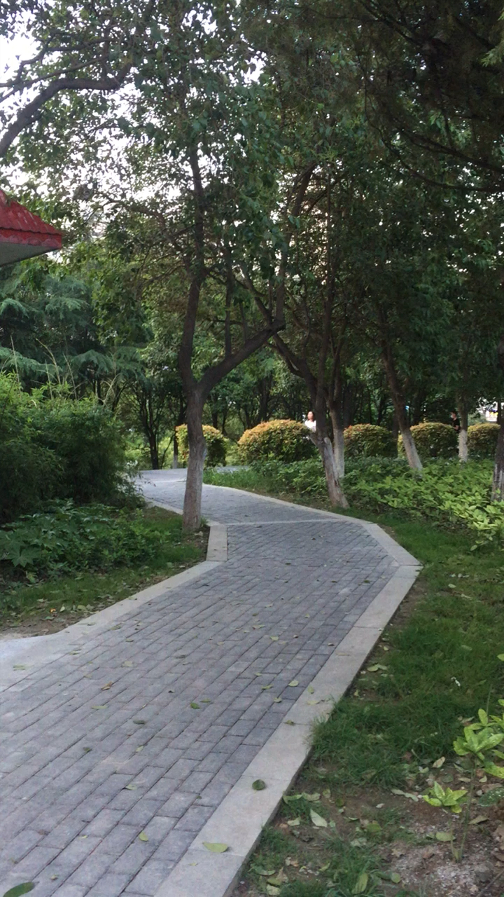 平顶山印象#平顶山湛河公园