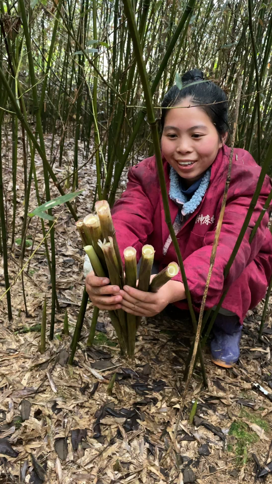 下雨天拔竹笋不容易