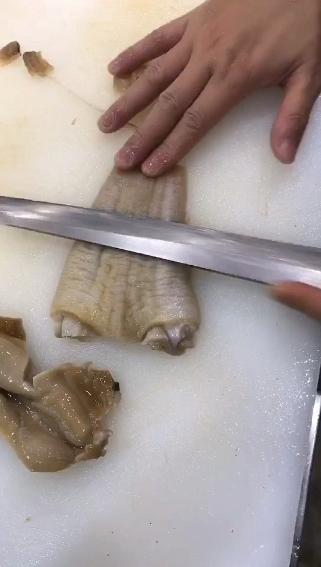 象拔蚌刺身象拔棒的处理方法大家有学会的吗