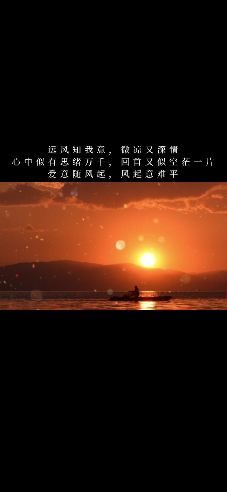 记录生活#心中似有思绪万千,回首又似空茫一片,爱意随风起,风起意难