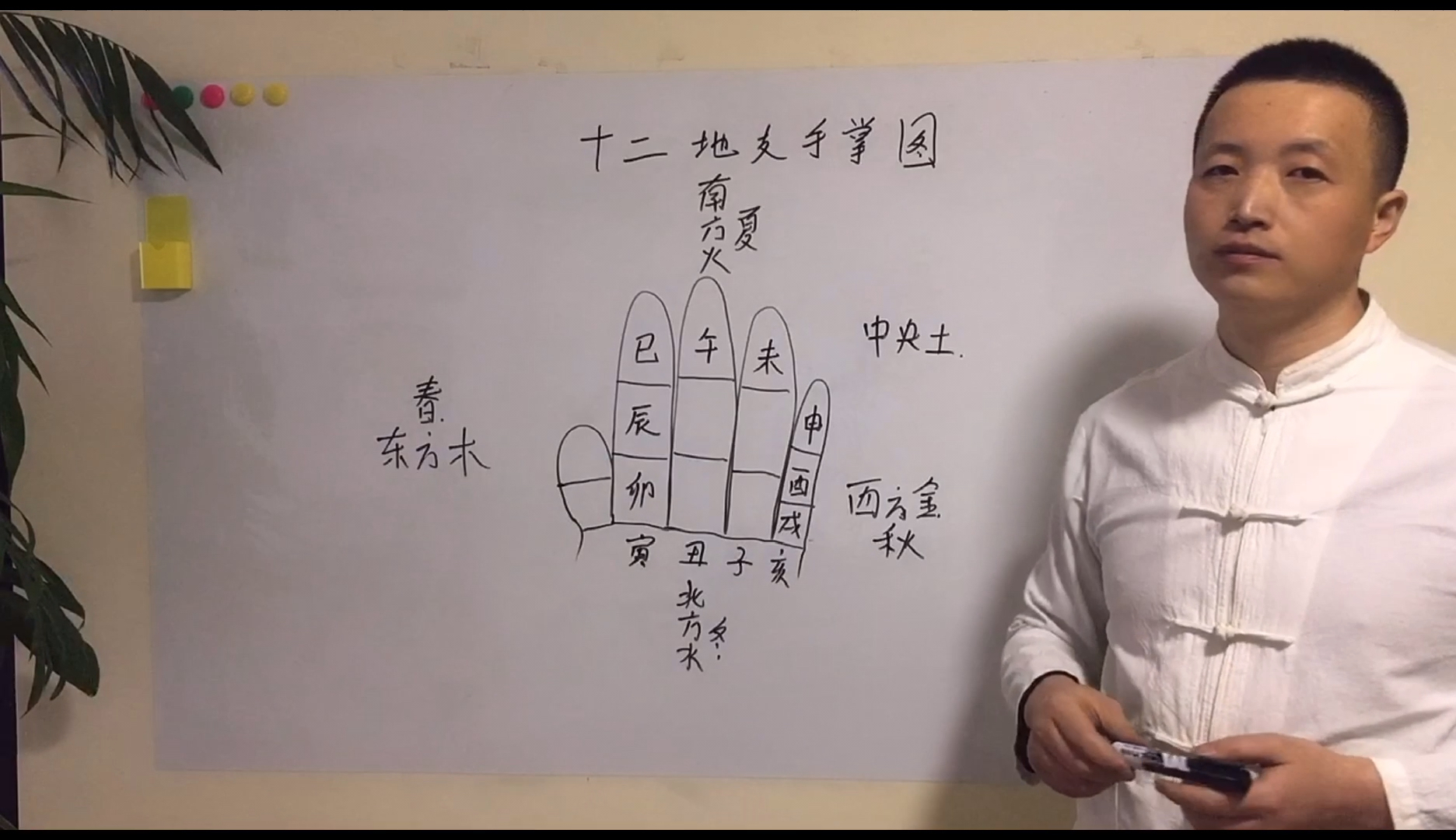 生辰八字八字零基础入门十二地支手掌图快速记忆法