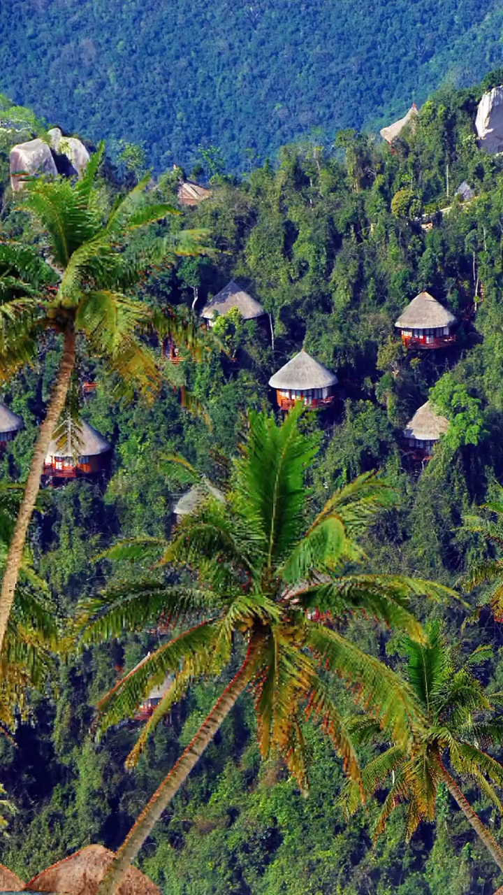 海南三亚鸟巢度假村,每间房都是独栋别墅,隐匿在原始森林中,面朝亚龙