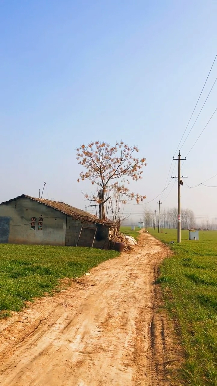 长大后当你离开家乡那一刻你就会明白从此以后你的故乡便只有冬季再无