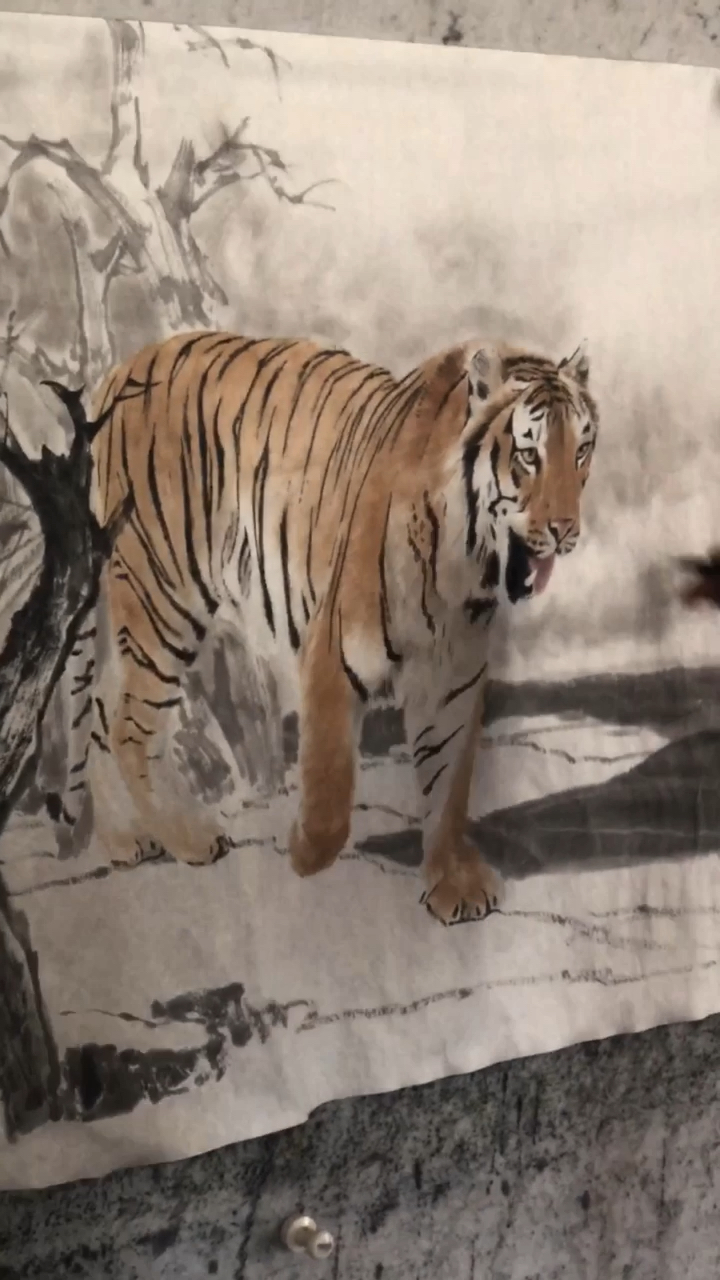 回家路上那些事#画虎点睛,葛新华画虎