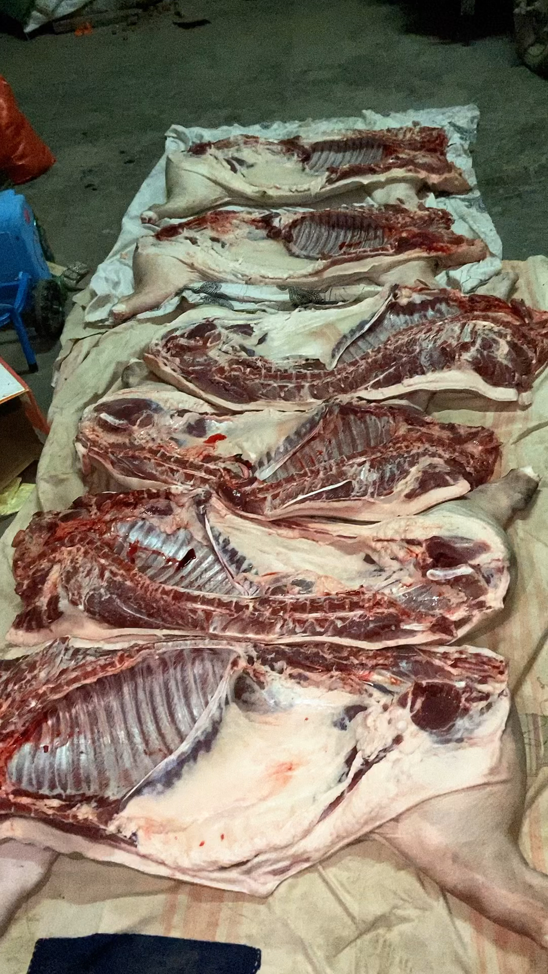 野猪肉哪里有卖正宗野猪肉价格