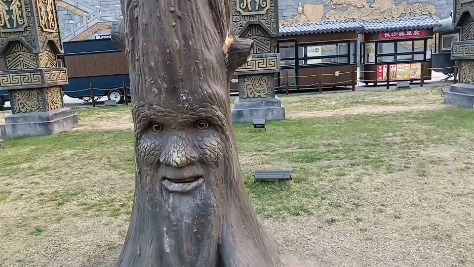 美丽新中国#大家来看,一颗会说话的树郯城郯王宫,欢迎大家来参观