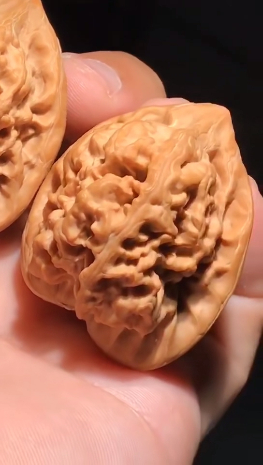 文玩核桃#纯野生大粗筋