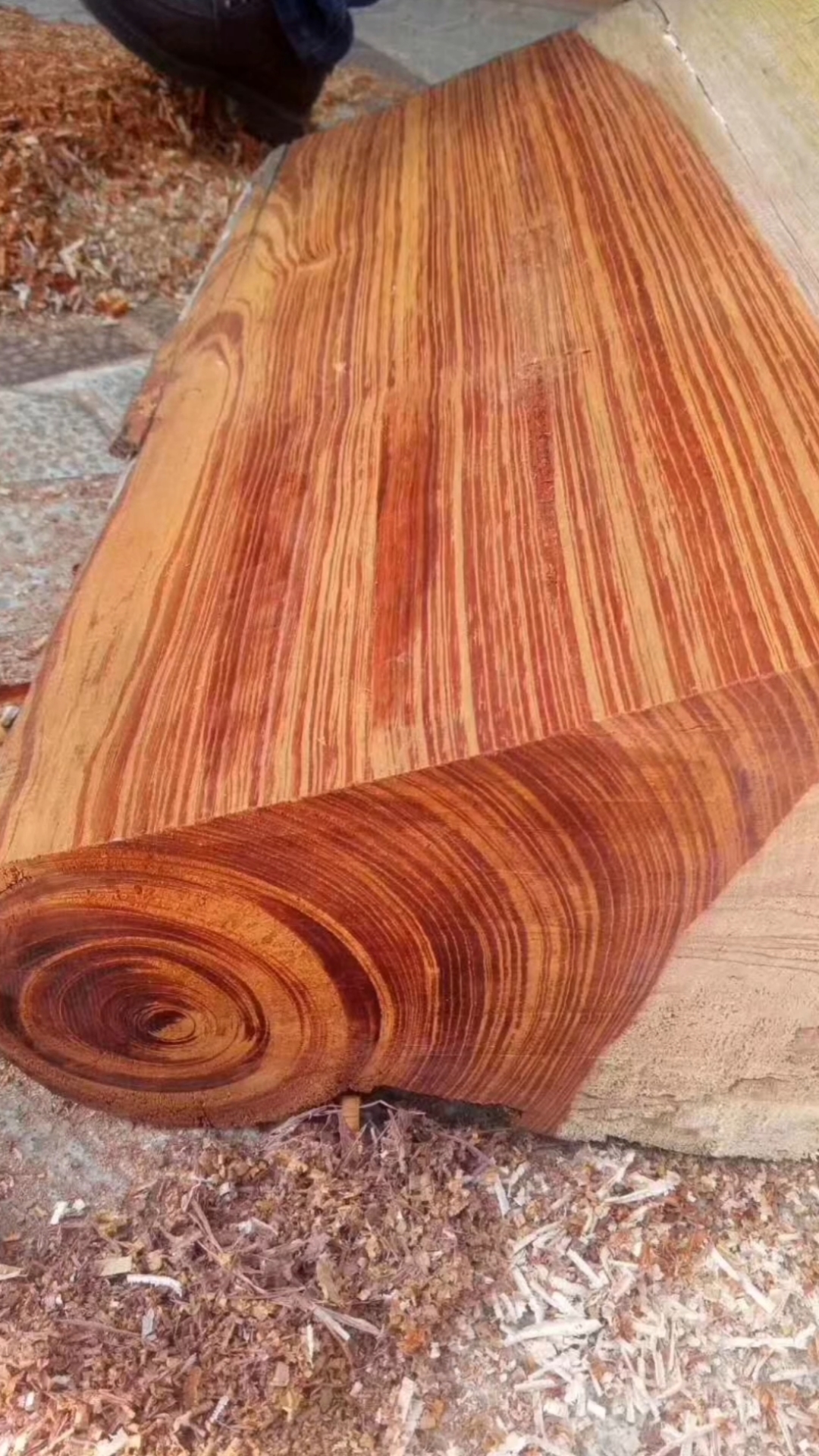 来自于东南亚的一种木材,南洋花梨-度小视