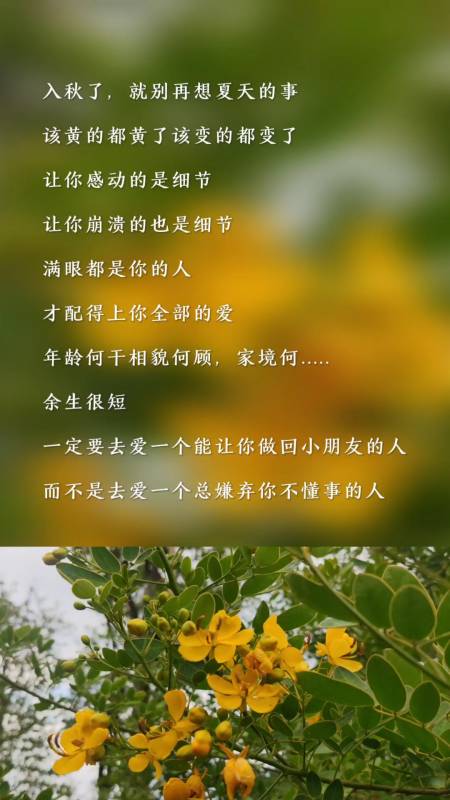 扎心情感語錄#入秋了,就別再想夏天的事了.