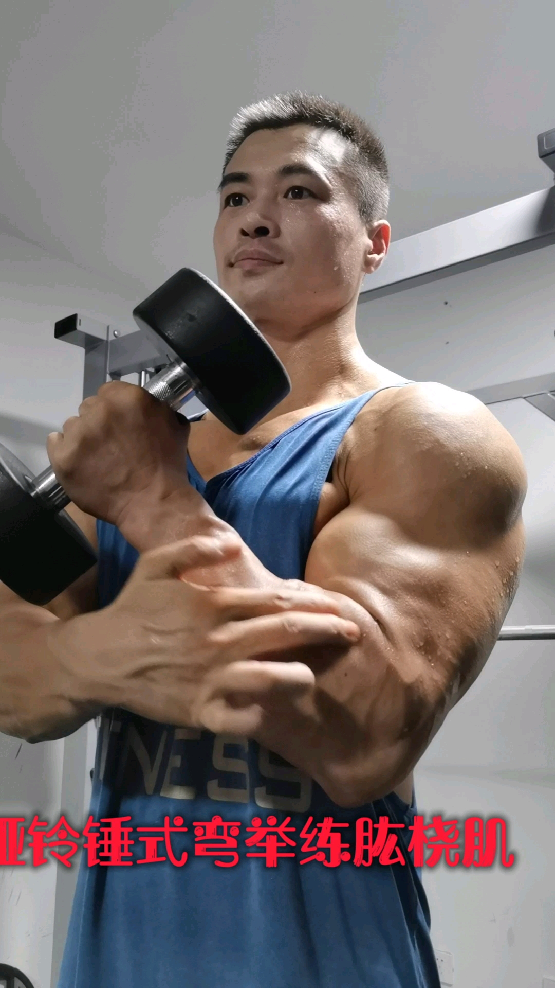 手臂哑铃锤式弯举练肱桡肌