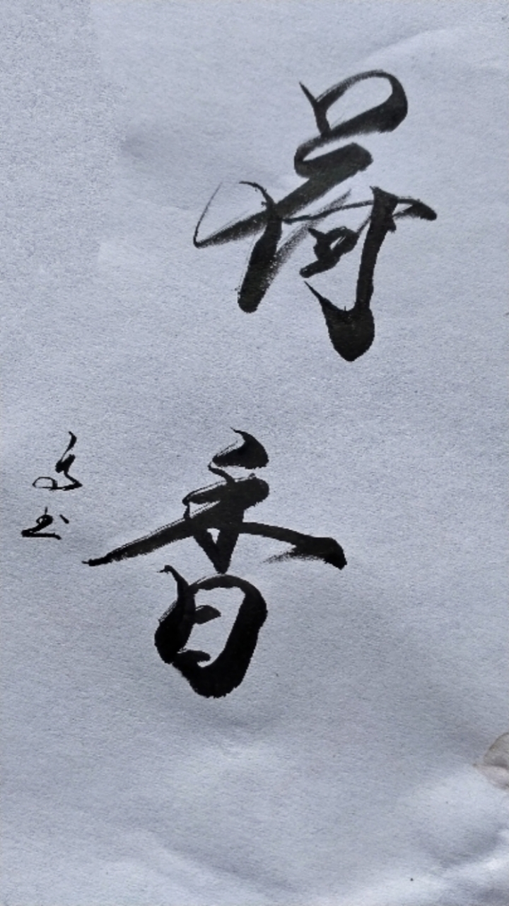 这是高手#手写:荷香