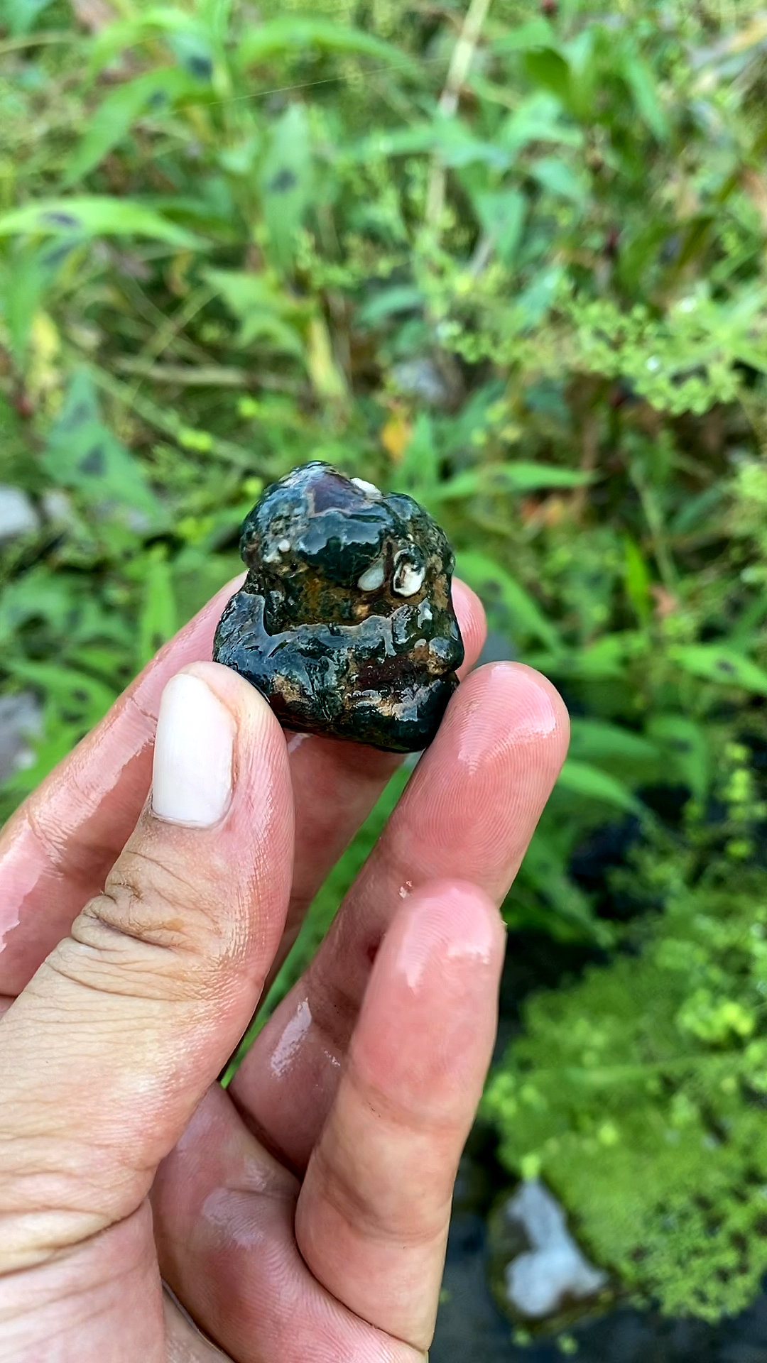 漂亮的石头#漂亮的深绿色小石头.-度小视