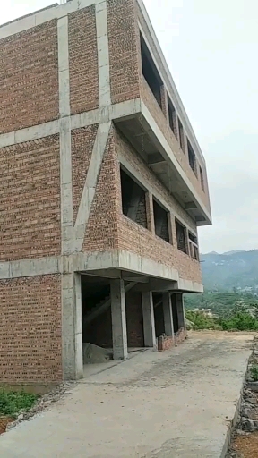 钢筋混凝土#设计师脑洞大开,房子的斜立柱设计30°,懂行指导下.