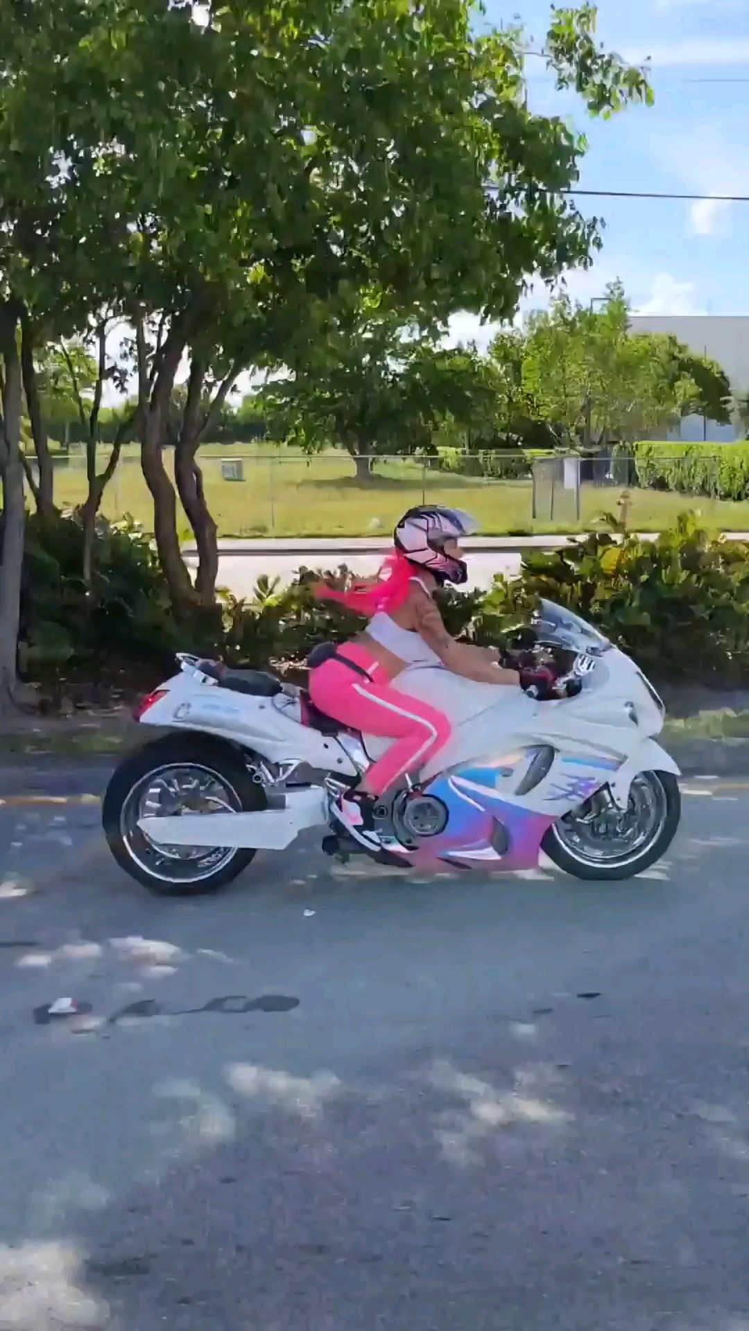 摩托车#铃木隼白色的版花