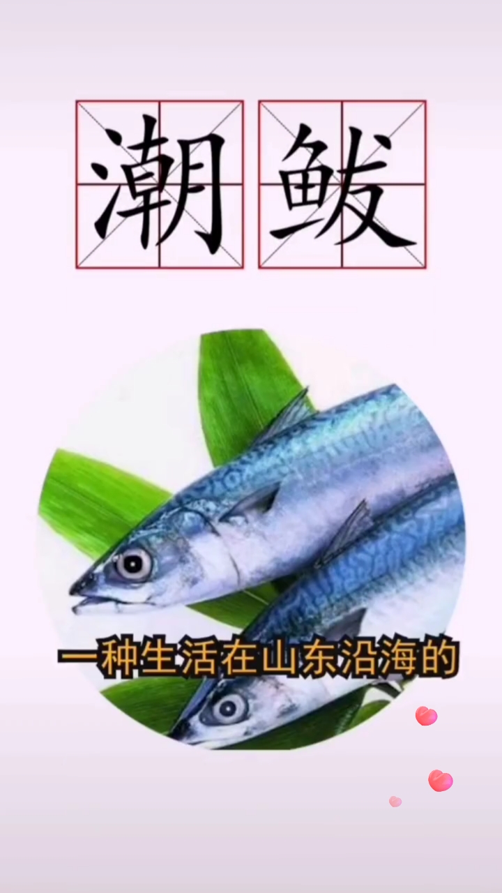 不一样的人生#教你学习山东方言