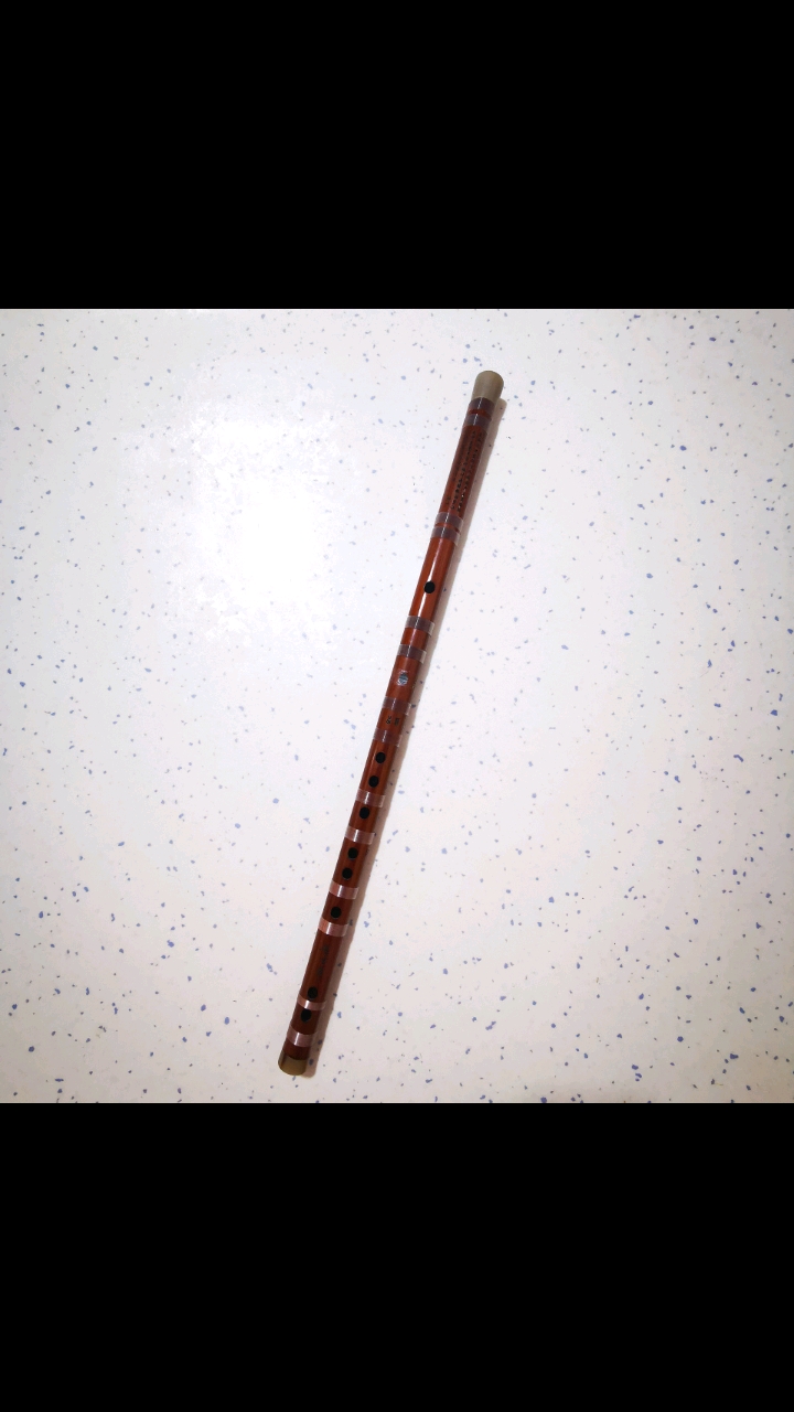 笛子#d调一节演奏级精品特制笛子