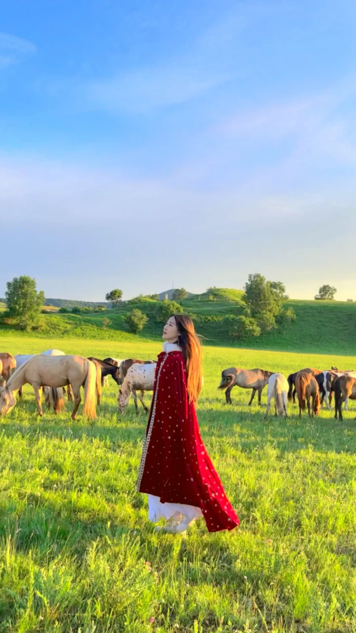 给你5w一个月,来大草原放马,没有手机没有网,住在蒙古包,你们住多久?