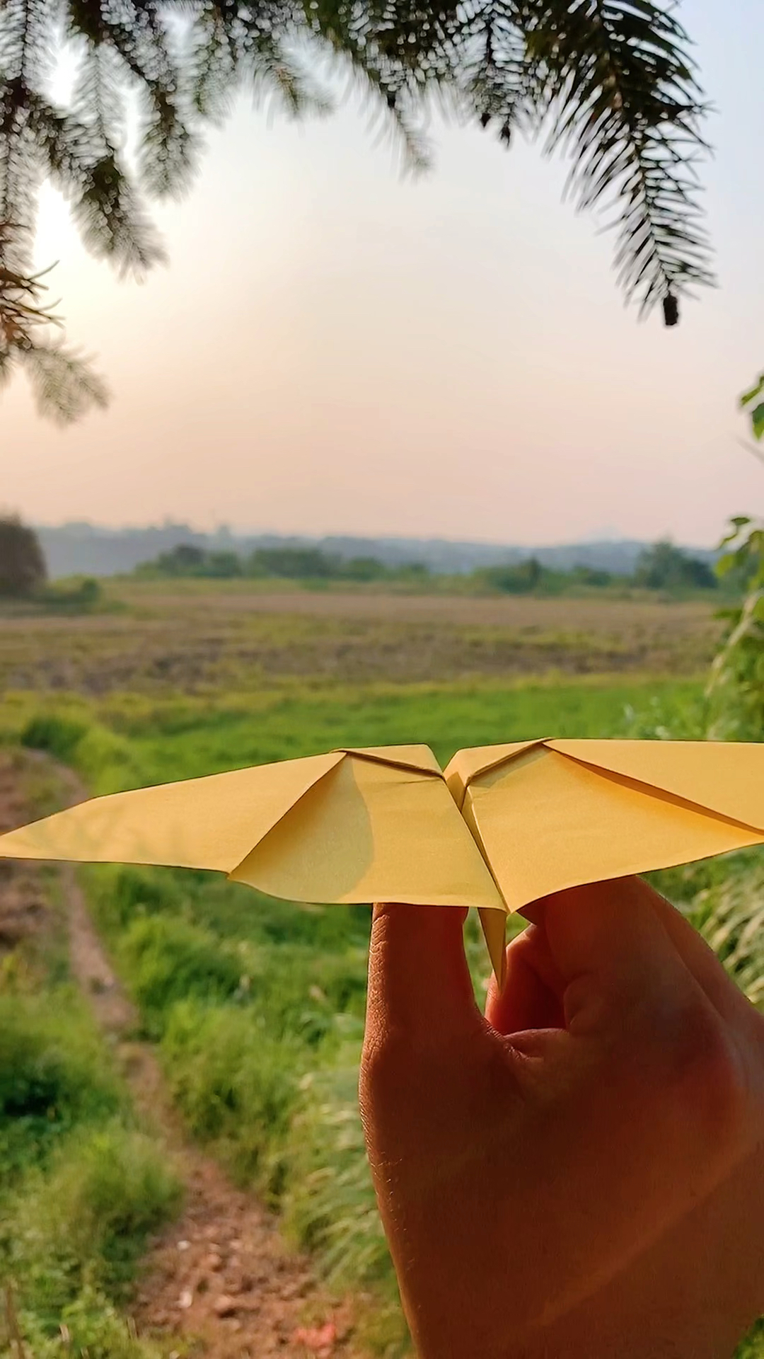 手工制作最喜欢的蝙蝠纸飞机快来折一个吧