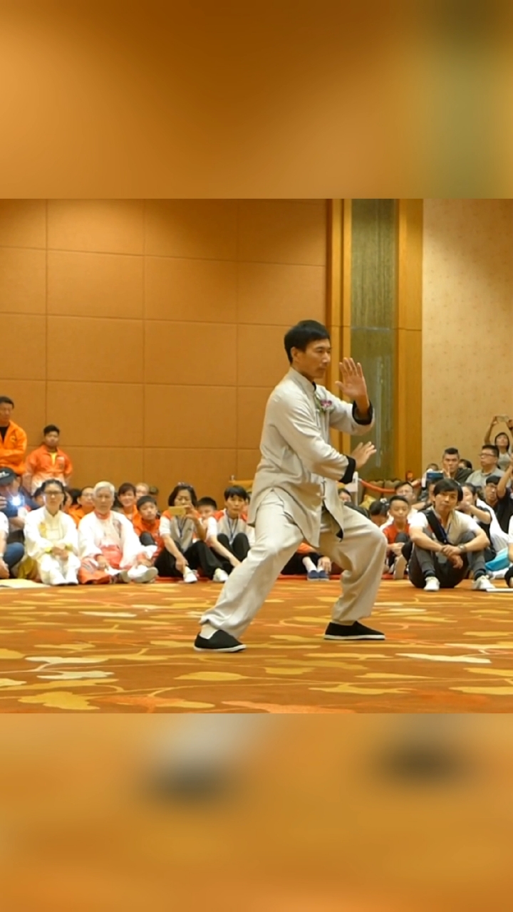 太极拳太极拳名家陈炳老师演练陈氏太极拳片段