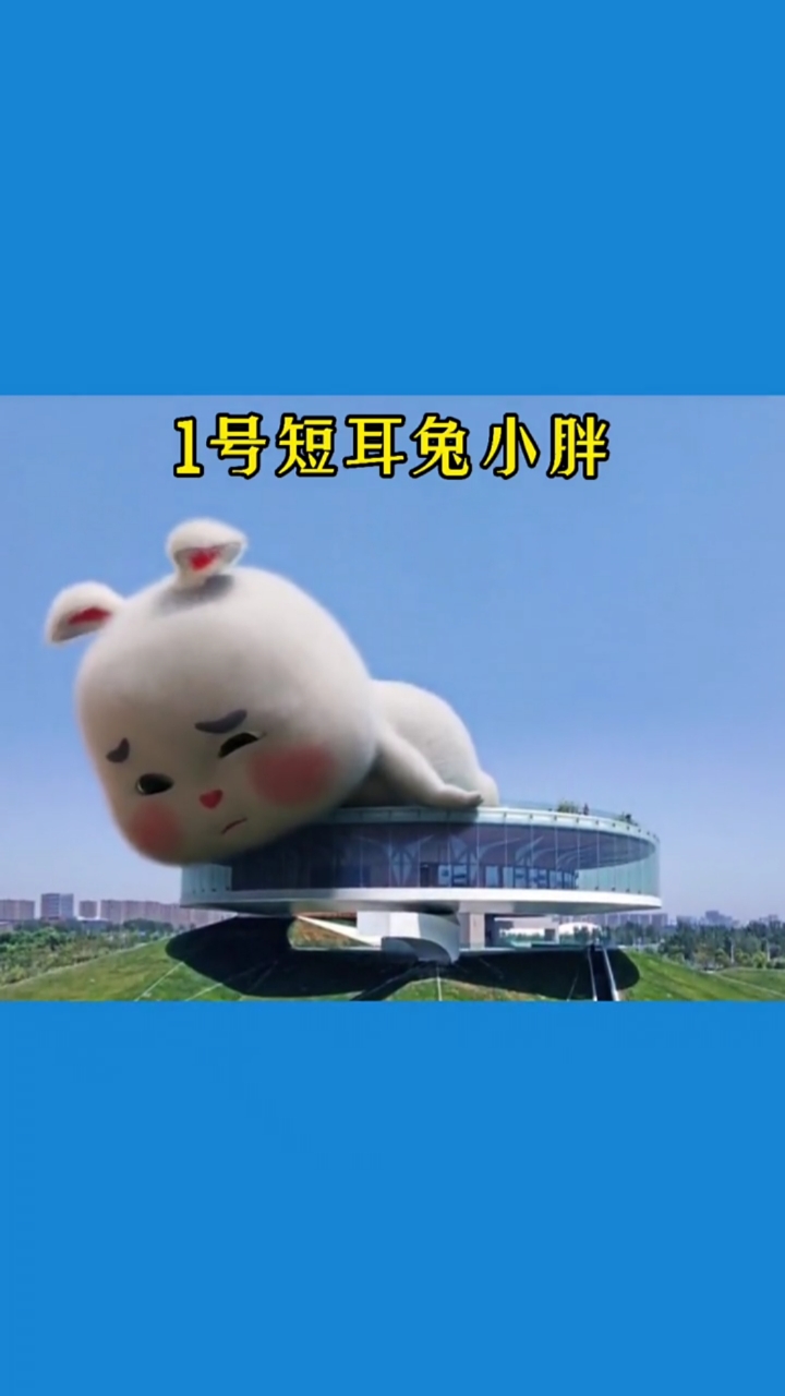 奥特曼#这四只兔子你喜欢哪一只?