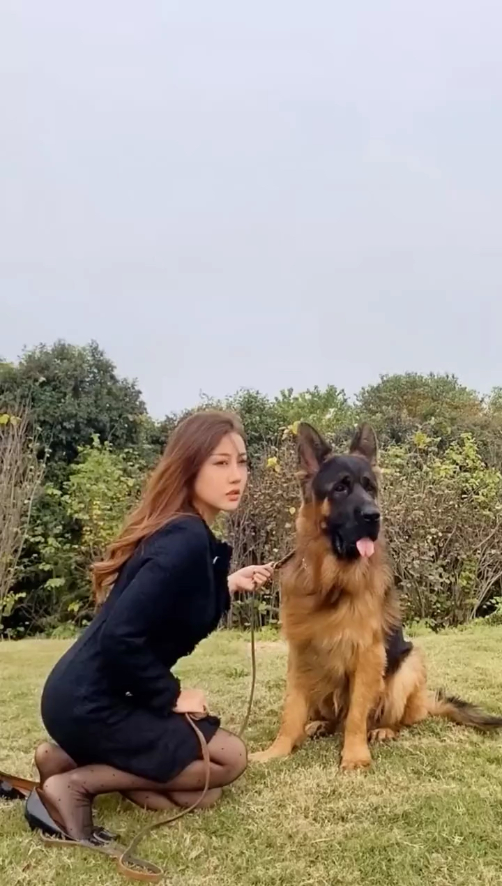 美女和德国牧羊犬
