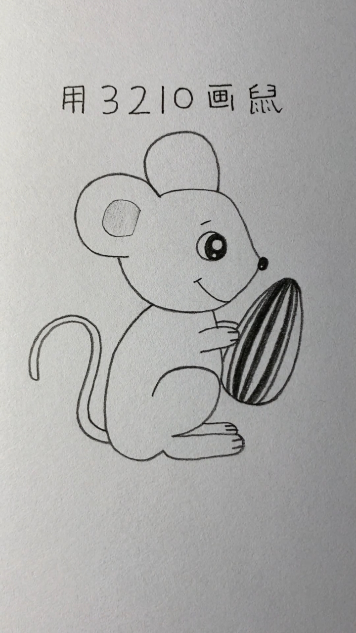 爱嗑瓜子的小老鼠