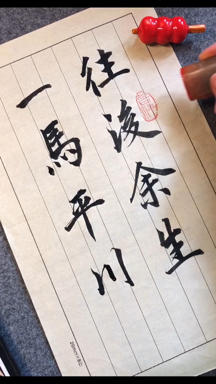 全民书法秀#"再无簪花柳银环我陪我君落平川"