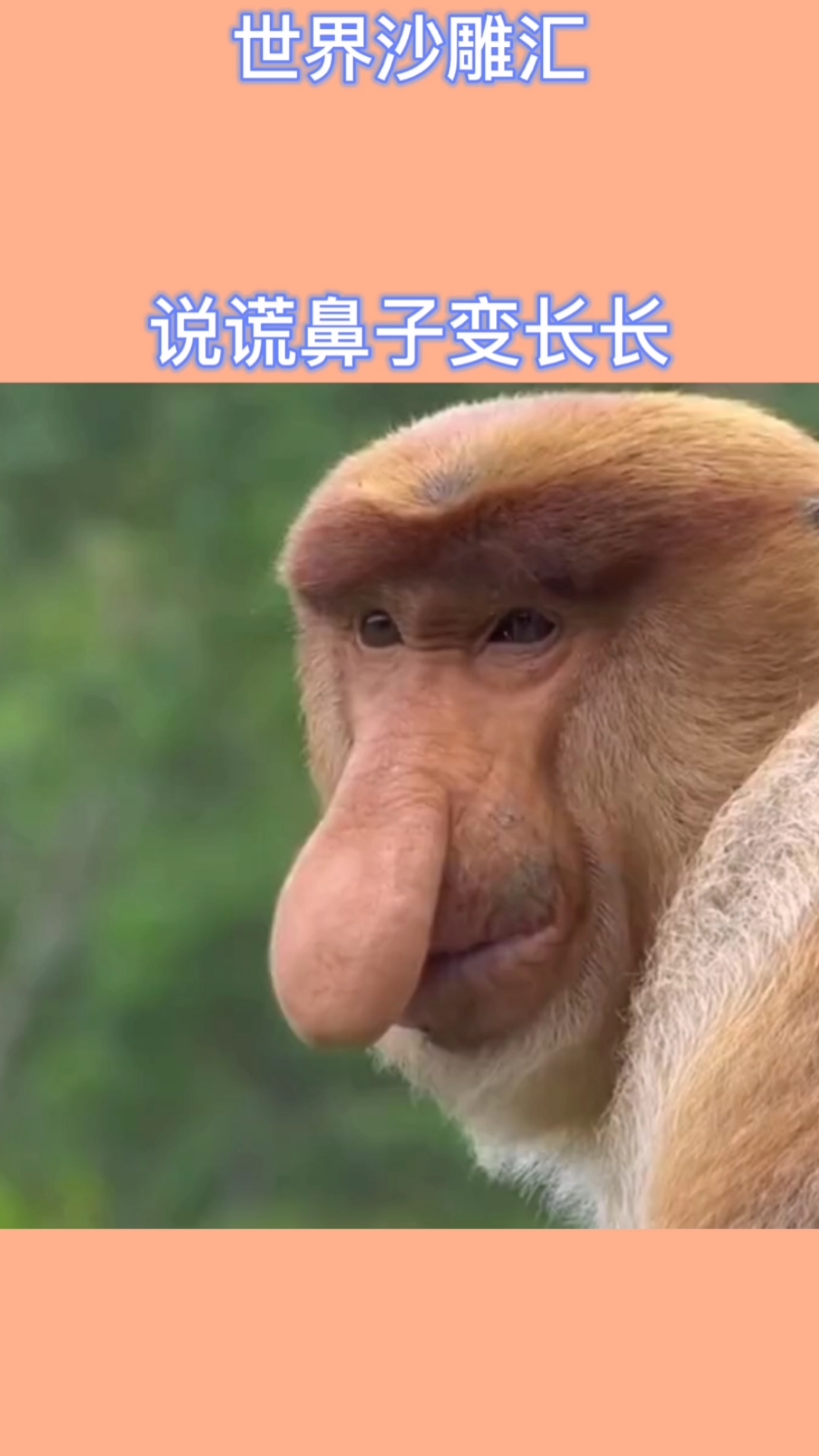 我要上热门#说谎鼻子变长长