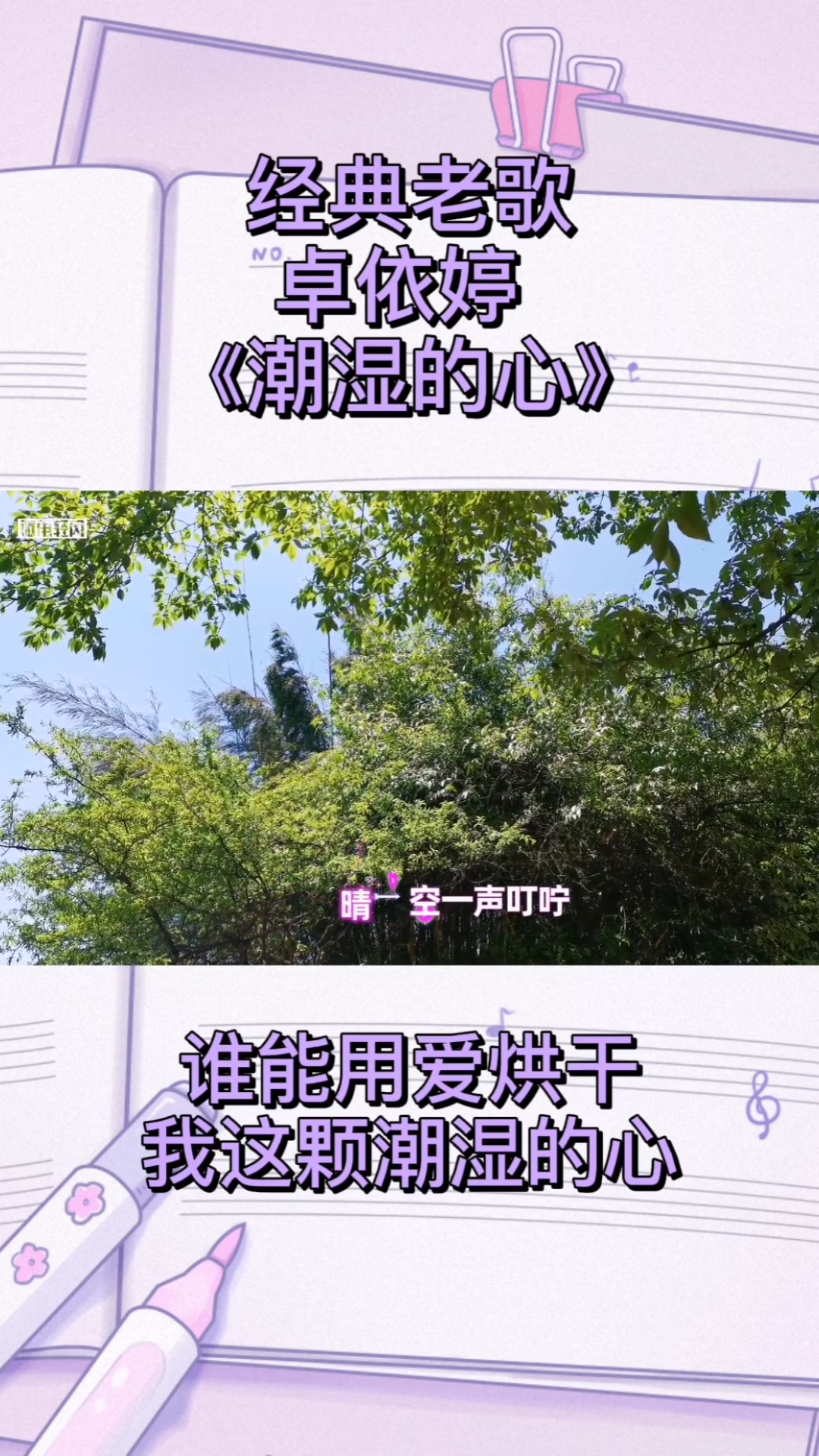 卓依婷《潮湿的心》谁能用爱烘干我这颗潮湿的心给我一声问候一点温情