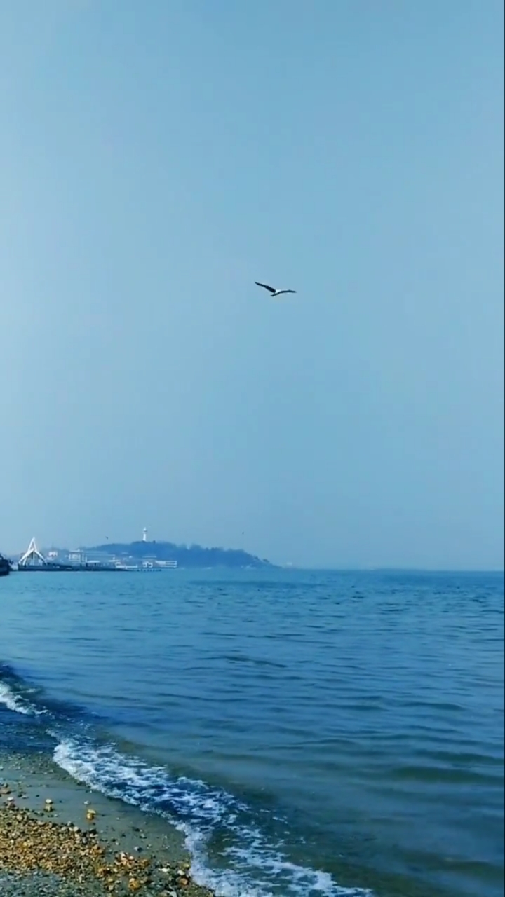 720_1280竖版 竖屏