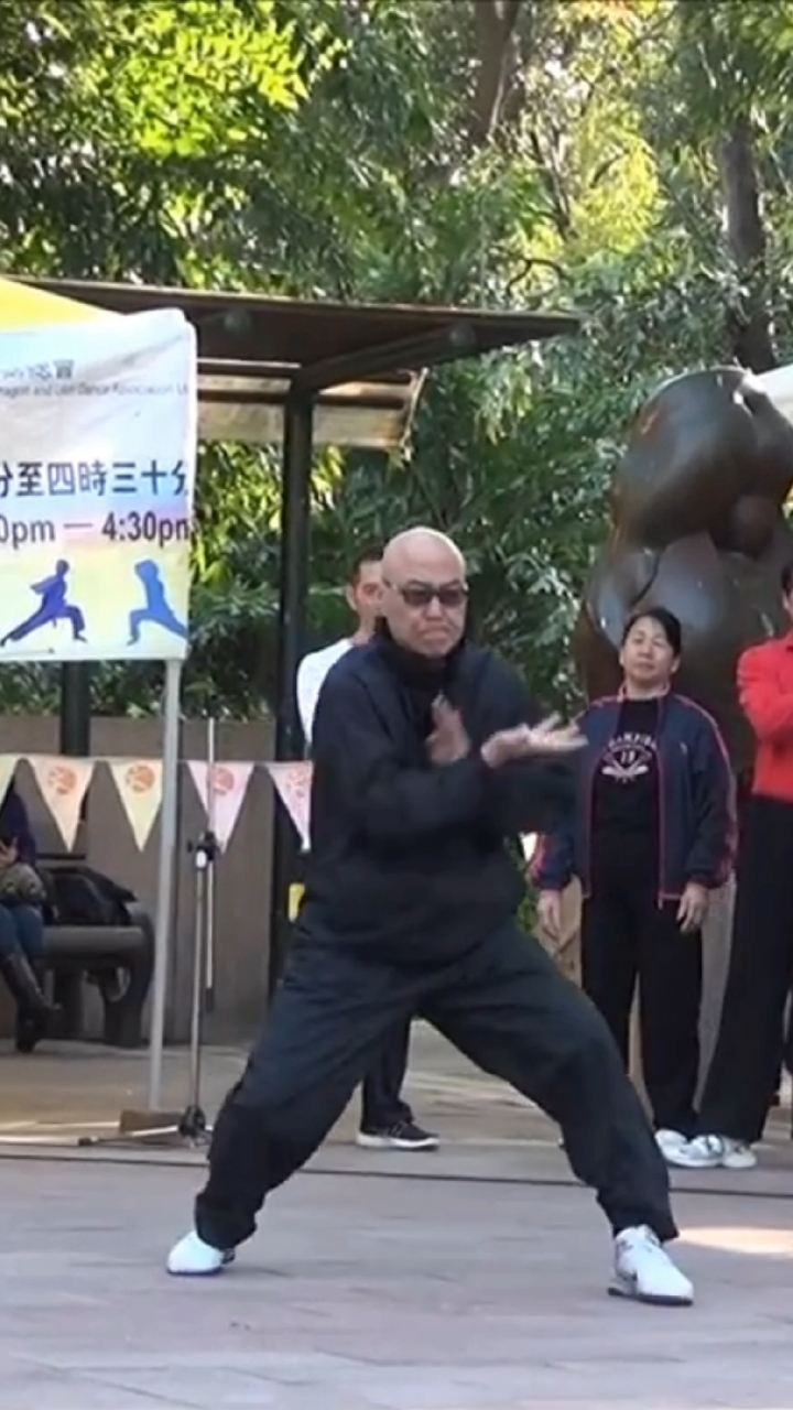 中华武术白眉拳郑锦添师傅演练的九步推
