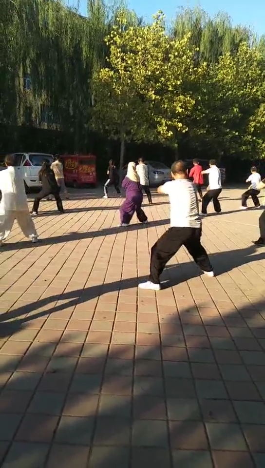 孟村李俊义先生传授吴氏开门八极拳这么大广场都快容不下这么多人了