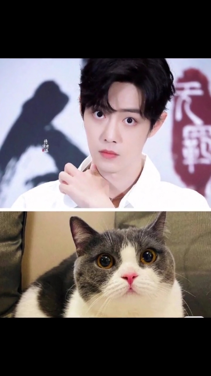 肖战#我发现小坚果越来越像战战两者都越长越可爱