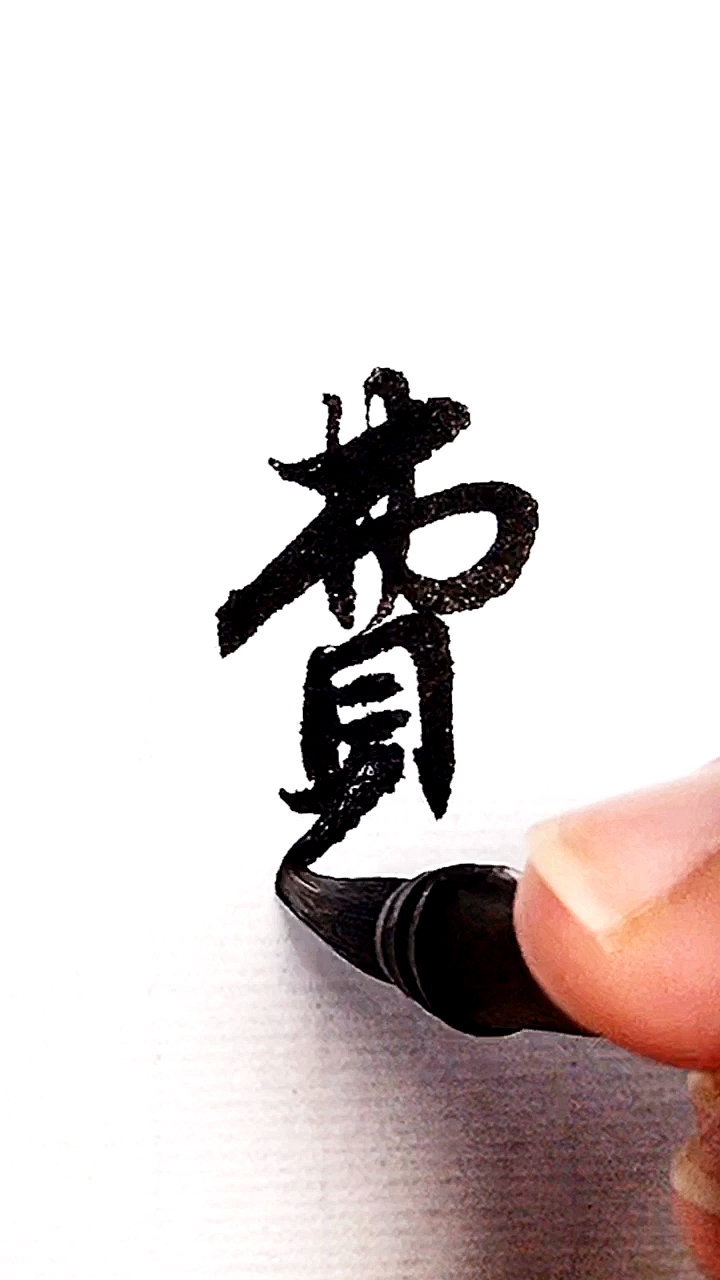 全民书法秀#百家姓:费!