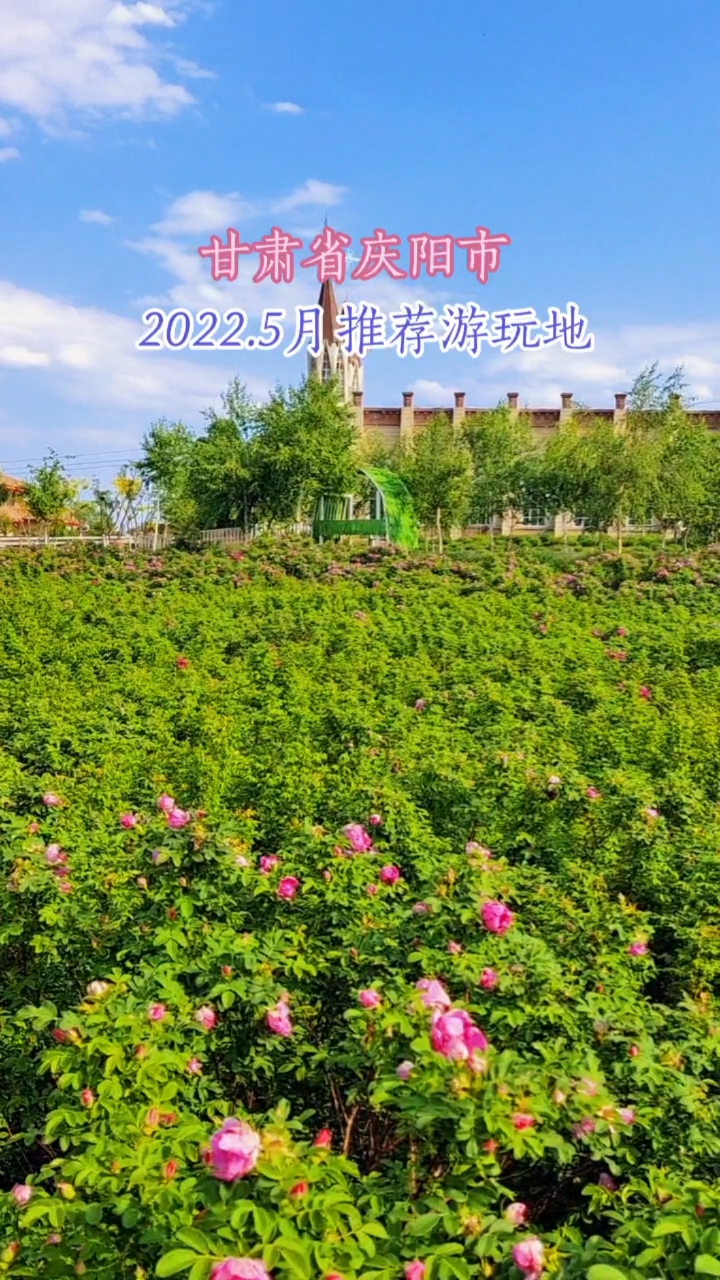 旅行#甘肃庆阳宁县义渠百花园,现在正是好时节,鸟语花香,气候温和