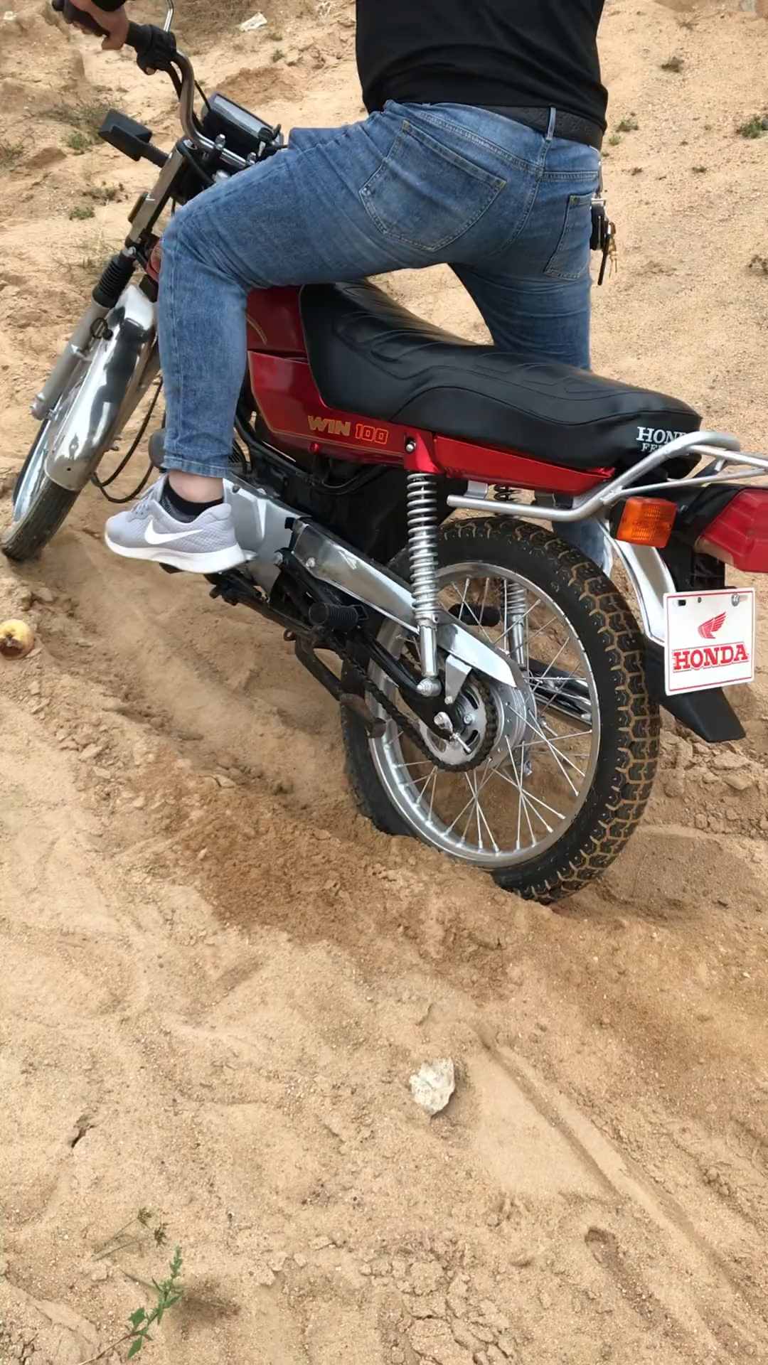 最经典本田鹰仔